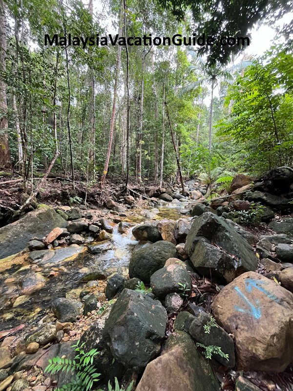 Santubong National Park Trail