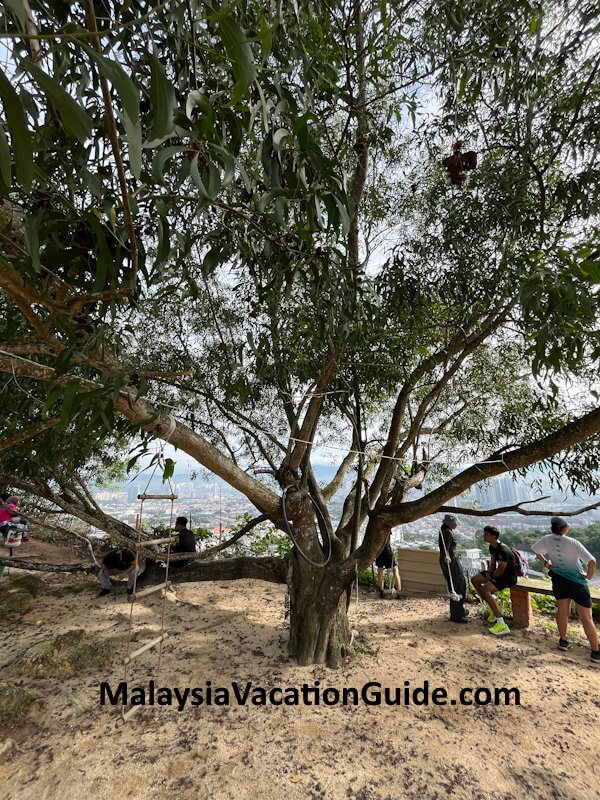 Sri Bintang Hill Peak Sri Bintang Hill Peak