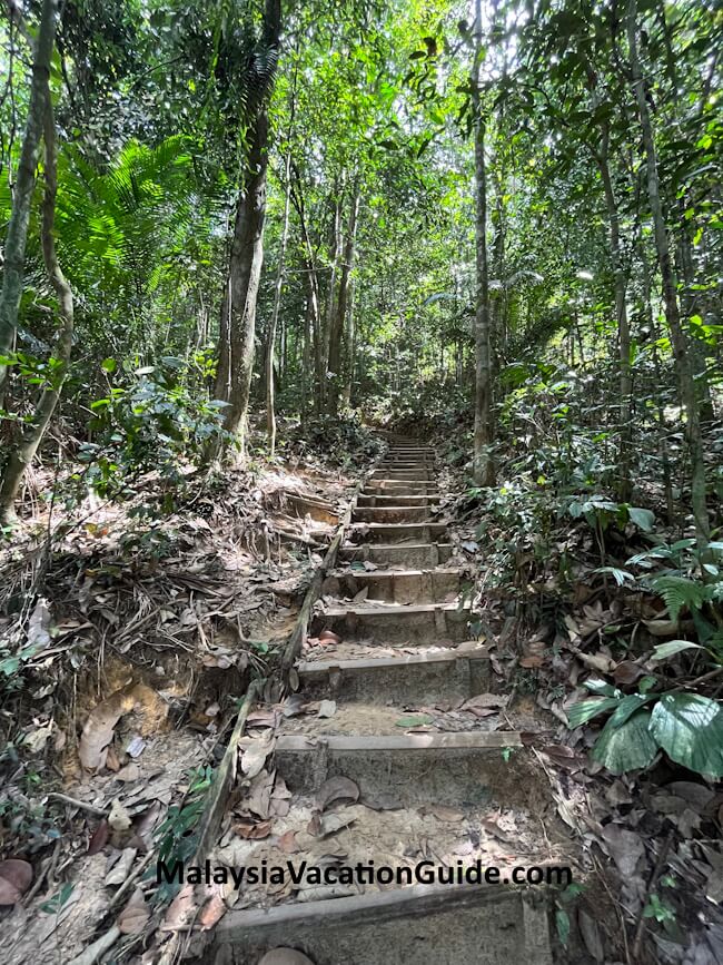 Stairs for cardio at Bukit Gasing