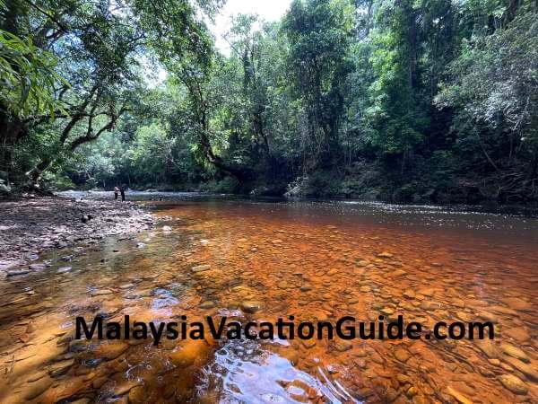 Swimming At Lata Berkoh 