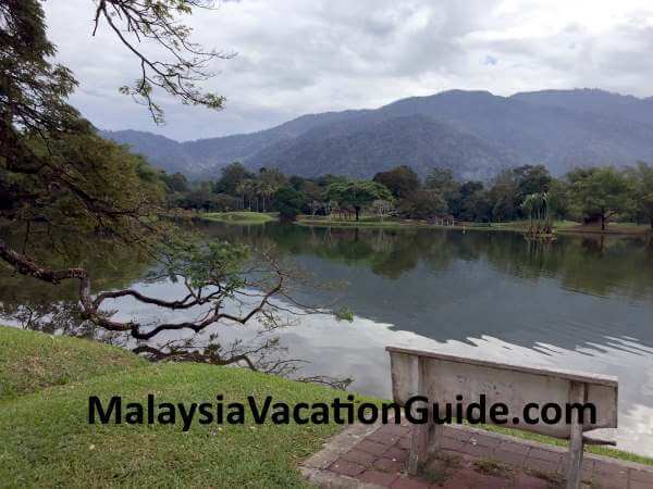 Taiping Lake Gardens Greeneries