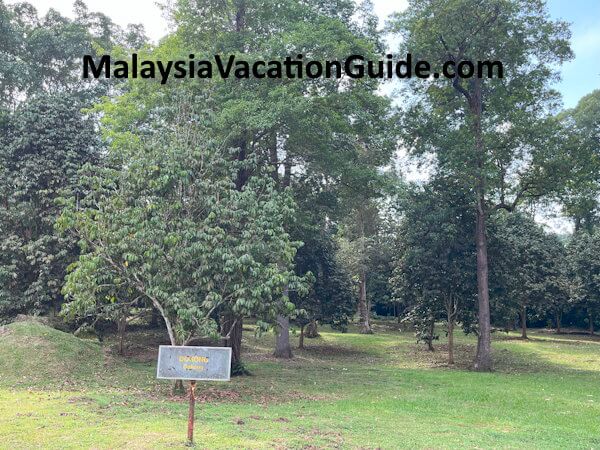 Taman Botani Shah Alam Tropical Fruit Park Taman Botani Shah Alam Tropical Fruit Park