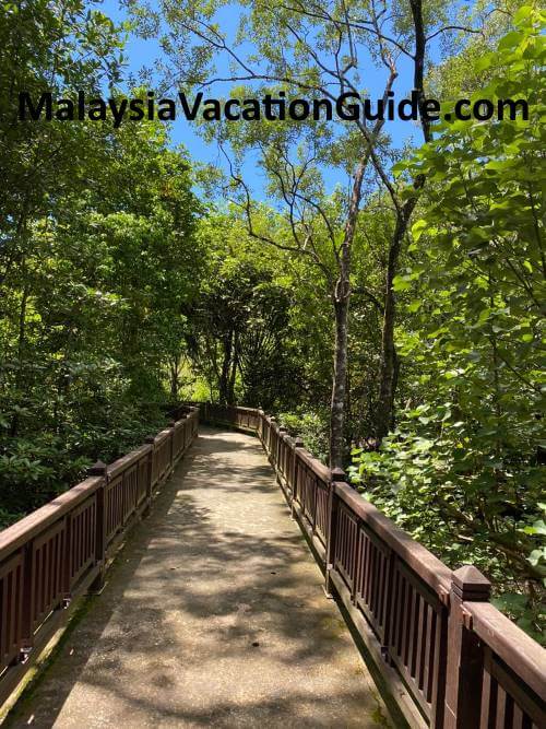 Bako National Park Sarawak Walkway