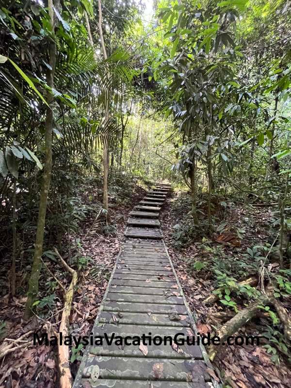 Taman Negara Trail Boardwalks