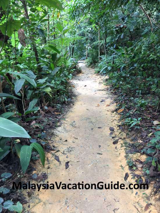 Typical trail at Tugu Park