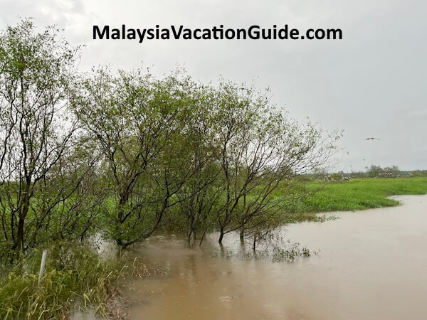 Teluk Intan River Cruise Perak River