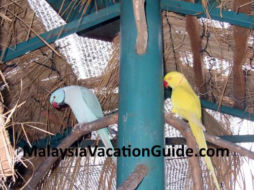 Kuala Lumpur Bird Park