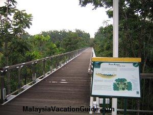 Tropical Botanical Garden Canopy Bridge