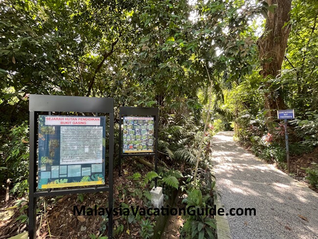 Bukit Gasing Trail