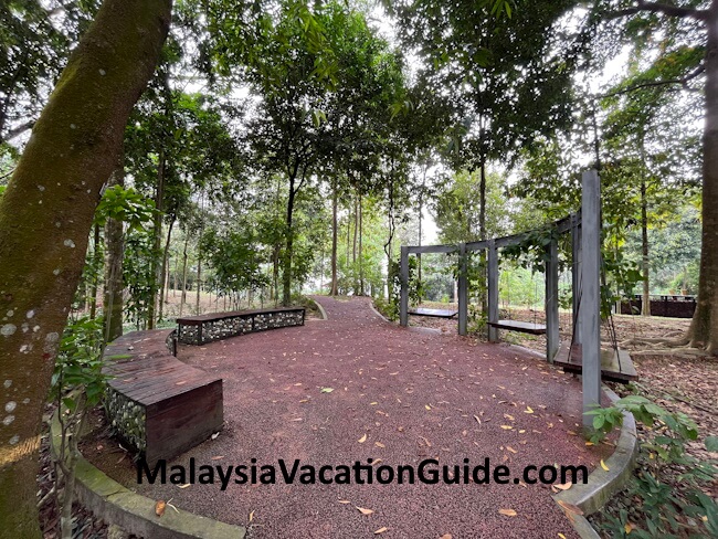 Bukit Kiara Hawa Swings