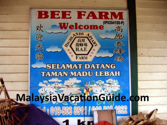 Bee Farm signage at Cameron Highlands