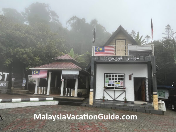 Cameron Highlands Mossy Forest Entrance