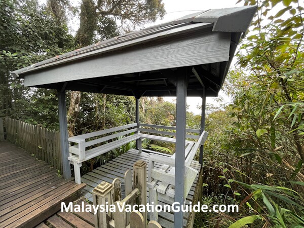 Cameron Highlands Mossy Forest Shelter