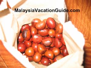 Chestnut At Gohtong Jaya