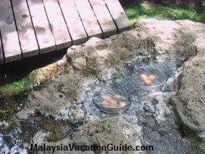 Sungai Klah Hot Spring