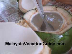 Coconut Sitiawan