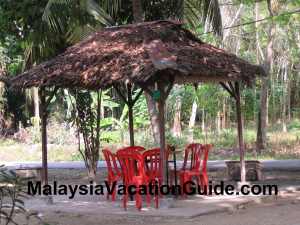 Sitiawan Seafood Under The Trees