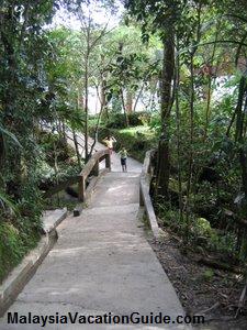 Kinabalu National Park