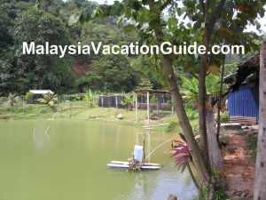 Danau Serendah