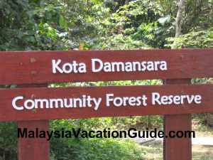 Kota Damansara Community Forest Reserve