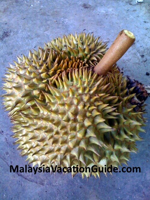 Durian