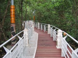 Lumut Mangrove Swamp Platforms