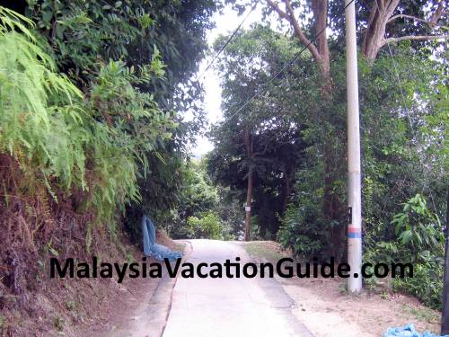 Penang National Park Trail