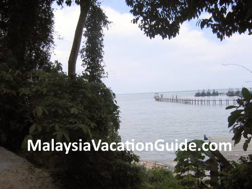 Penang National Park View