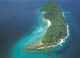 Besar pulau singa Langkawi, Pulau