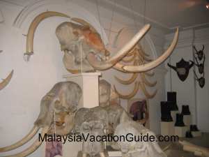 Sultan Abu Bakar Museum in Johor