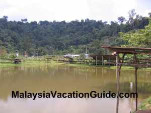 Danau Serendah Fishing Pond