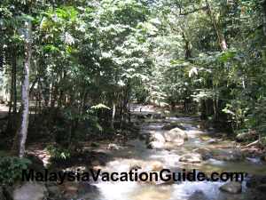 Hutan Lipur Sungai Tua