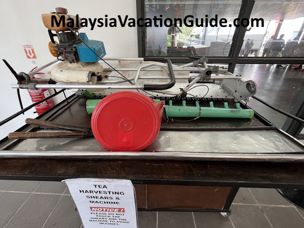 Sungei Palas Tea Harvesting Shearing Machine Cameron Highlands