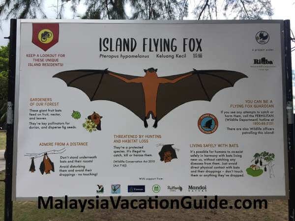 Tioman Flying Fox signage