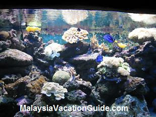 Langkawi Underwater World