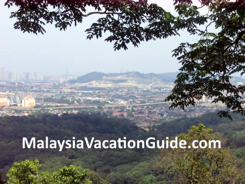 View of the city from FRIM canopy walk