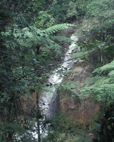 Fraser's Hill Waterfall