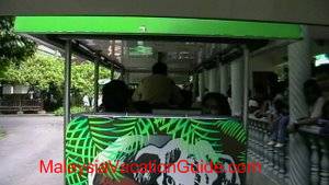 Taiping Zoo Mini Train